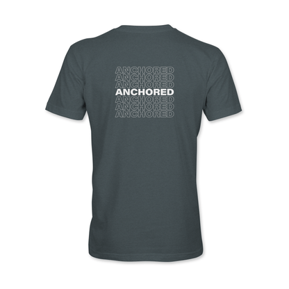 AFLC - Men's / Unisex T-shirt