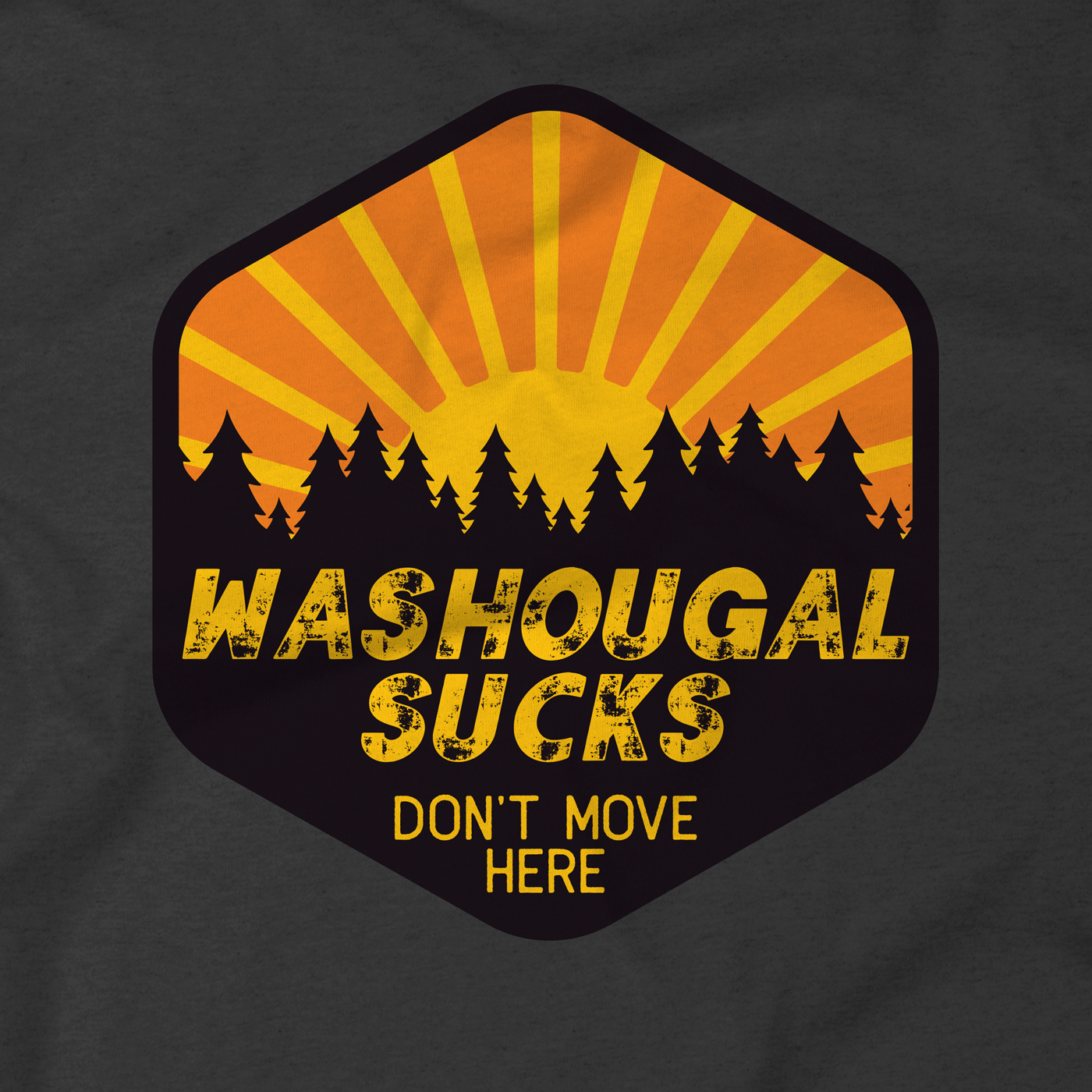 Washougal Sucks Don't Move Here Pullover Hoodie